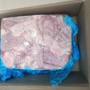 国产8033猪肚