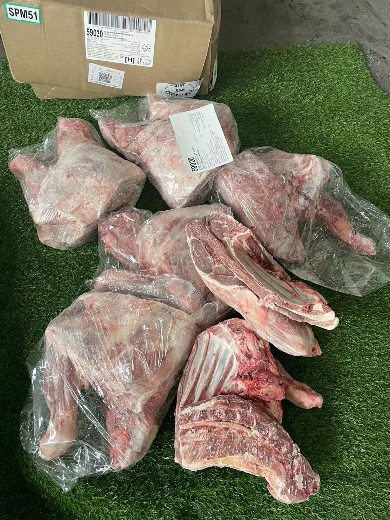 羔羊四分体 51厂
