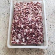 鱿鱼边角料