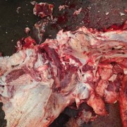 带皮熟牛头肉