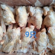 579白条鸡