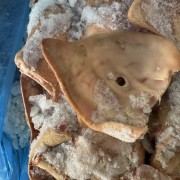PL猪耳片