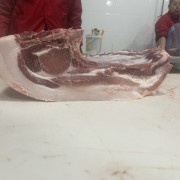 国产精品肥猪中段