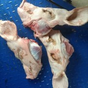 带耳精修菜猪头