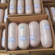 鲜冻乳猪