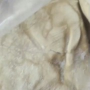 熟牛肚