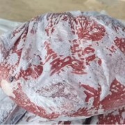 精修针扒
