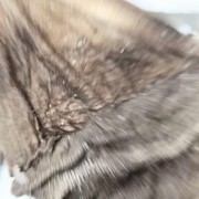 盐百叶a