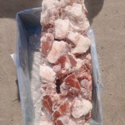 71羔羊后腿骨