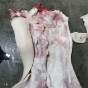 育肥全去骨