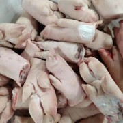 加拿大B级猪手