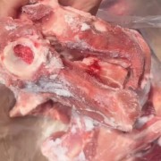 肥猪尾骨