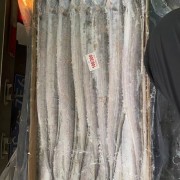 蛇牌AB巴基BA