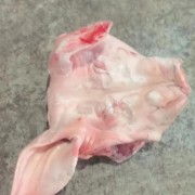猪头