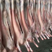 清真羊胴体