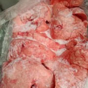 肥猪食品肺