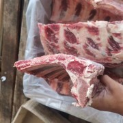 牛肋眼骨