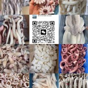 鱿鱼边角料