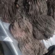 鲜百叶