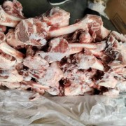 1614羔羊腿骨