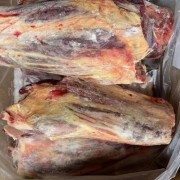 612带骨前腱