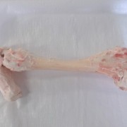 牛扁骨