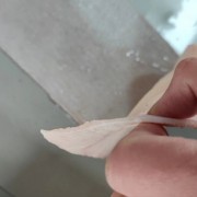 母猪大皮