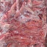 肥猪心管