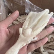 鸭掌