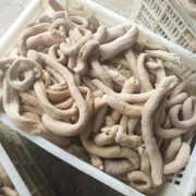 牛肚