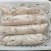 羊白肺