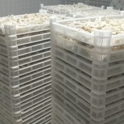 单冻去骨鸡爪