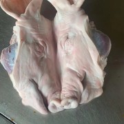 猪头
