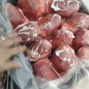 母猪猪心