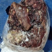 喂狗牛肉