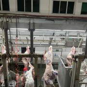 牛肉产品