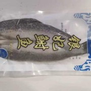 鳕龙鱼