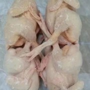 肉食鸡白条