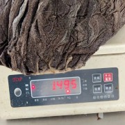盐毛肚