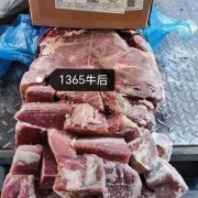 巴西90比例牛前