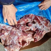 美国17D颈骨