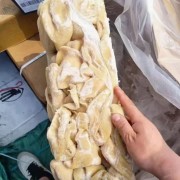 羊肚