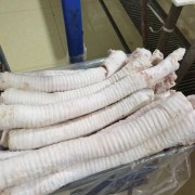 牛肺管