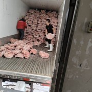 带耳猪头