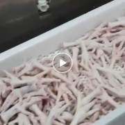俄罗斯凤爪A35