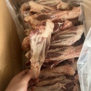 羊前腱