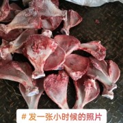 扇子骨