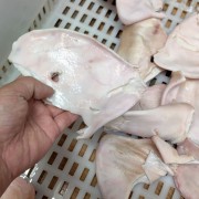 肥猪耳尖万