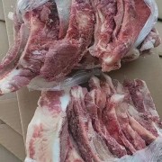大日期母猪月牙骨