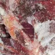 马肉